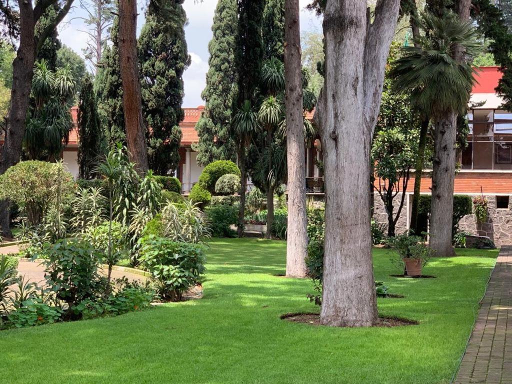 Hotel Express Quinta Soledad Мехіко Екстер'єр фото