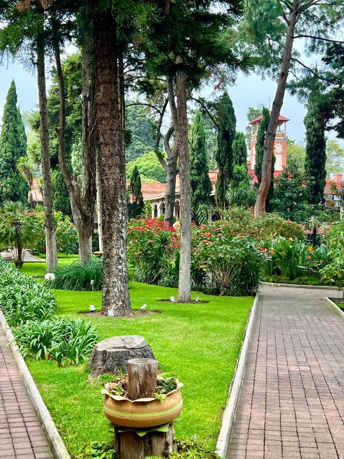 Hotel Express Quinta Soledad Мехіко Екстер'єр фото