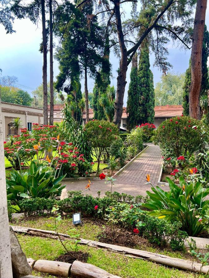Hotel Express Quinta Soledad Мехіко Екстер'єр фото